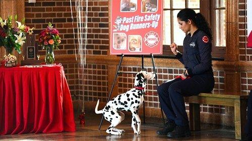 Chicago Fire Season 7 Episode 11 - You Choose