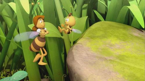 Maya the Bee Season 1 Episode 7 - Judge Beeswax