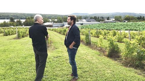 Tout un festival Season 1 Episode 10 - Episode 10