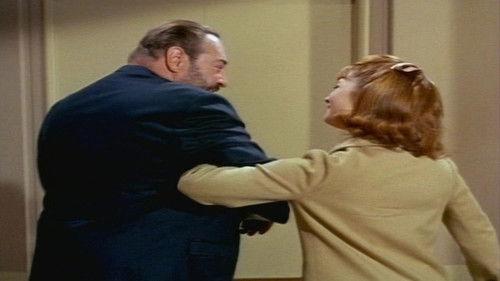 Family Affair Season 1 Episode 17 - All Around the Town