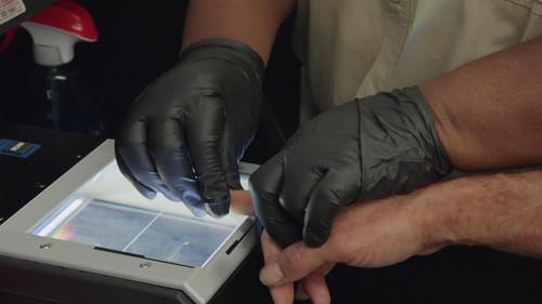 Background image for No Bond, No Problem