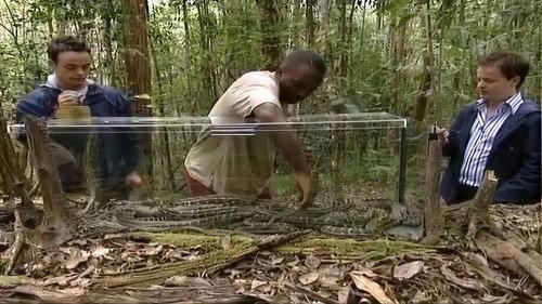 I'm a Celebrity...Get Me Out of Here! Season 1 Episode 4 - Snake Surprise