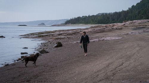 The Truth About the Harry Quebert Affair Season 1 Episode 8 - Got It All Wrong