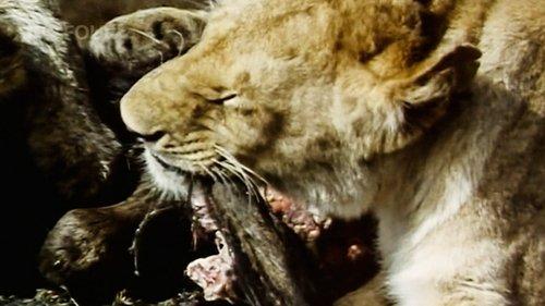 Pole to Pole Season 1 Episode 6 - Plains and Boats and Trains