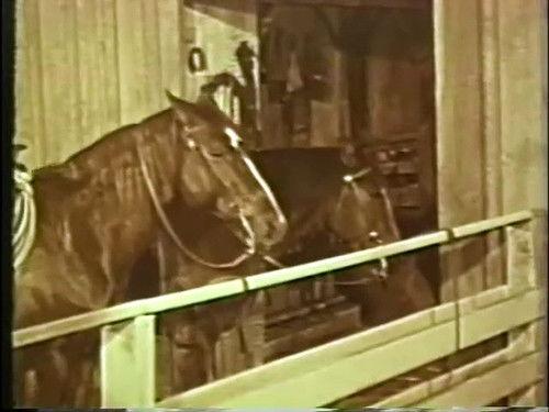 Background image for The Little Visitor