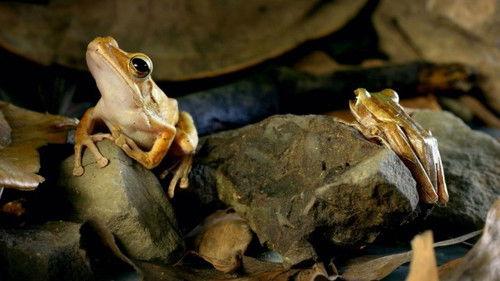 Planet Weird Season 1 Episode 1 - Origin Stories