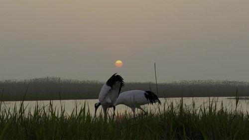 Unexplored Land Season 1 Episode 2 - Episode 2