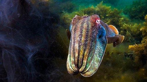 Background image for Green Seas