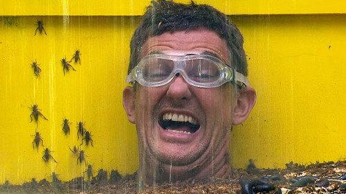 I'm a Celebrity...Get Me Out of Here! Season 13 Episode 3 - Up to Your Neck in It