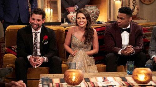 The Bachelorette Season 17 Episode 4 - Week 4