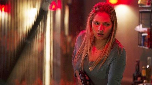 Blue Bloods Season 5 Episode 18 - Bad Company