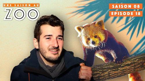 Une saison au zoo Season 8 Episode 18 - Episode 18