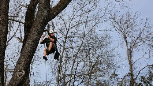 Treehouse Masters Season 9 Episode 9 - Grace VanderWaal's Got Treehouse