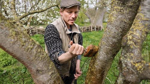 Background image for Episode 11