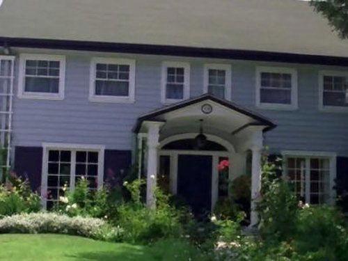 Background image for In Bloom