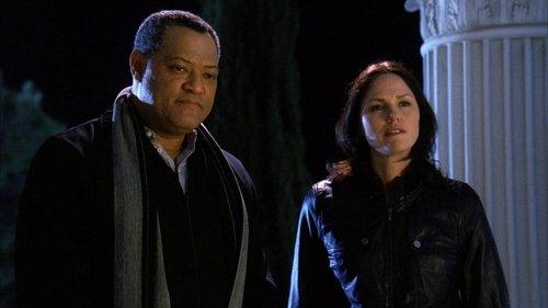 undefined Season 11 Episode 19 - Unleashed