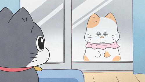 Cat Uncle: The Guy That Got Reincarnated As a Cat Season 1 Episode 15 - Episode 15