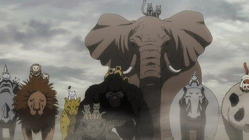 Nyaight of the Living Cat Season 1 Episode 11 - Transformeows