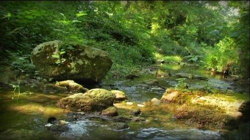 Minuscule: The Private Life of Insects Season 1 Episode 40 - The Caterpillar and the Brook