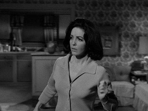 Perry Mason Season 9 Episode 16 - The Case of the Midnight Howler