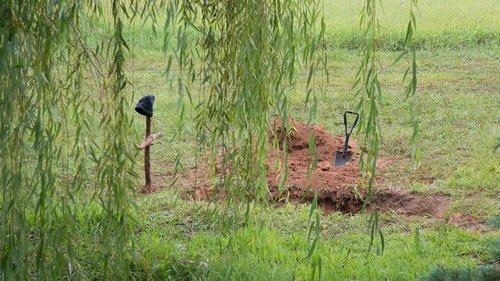 The Walking Dead Season 5 Episode 9 - What Happened and What's Going On