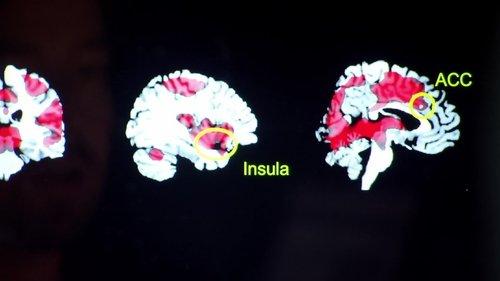 Through the Wormhole Season 3 Episode 7 - Can We Eliminate Evil?