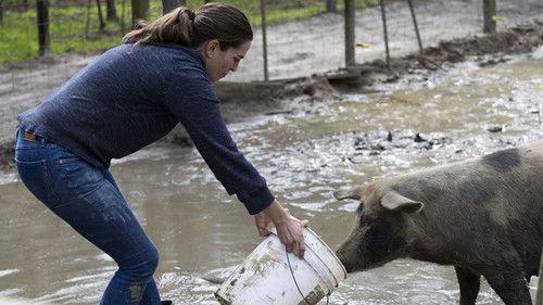 From the Source Season 2 Episode 7 - Pork