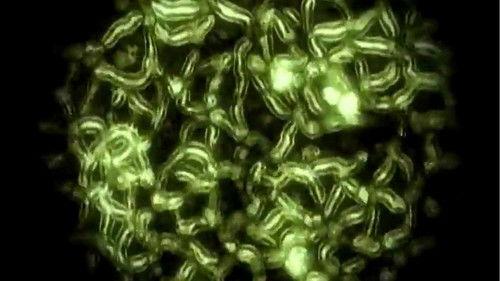 RNA Season 1 Episode 15 - Episode 15