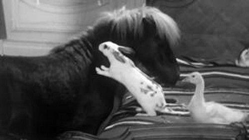 Poly Season 2 Episode 6 - Episode 6