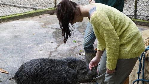 Anna und die wilden Tiere Season 1 Episode 17 - Episode 17