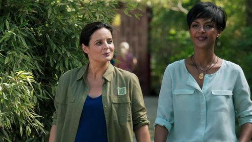 Tierärztin Dr. Mertens Season 6 Episode 13 - Episode 13