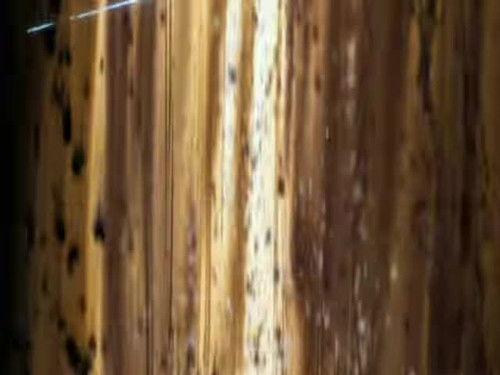 Beyblade Season 3 Episode 4 - We Were Once Bladebreakers...