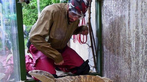 I'm a Celebrity...Get Me Out of Here! Season 15 Episode 10 - The Critter Shop of Horrors