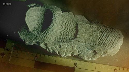 Forensics: The Real CSI Season 5 Episode 1 - Murder in a Brothel