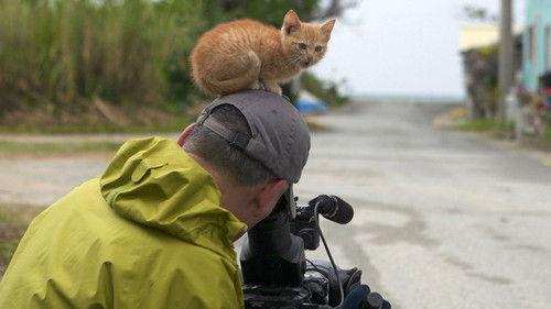 A Cat's-Eye View of Japan Season 2 Episode 14 - Okinawa: Taketomi Island Adventures