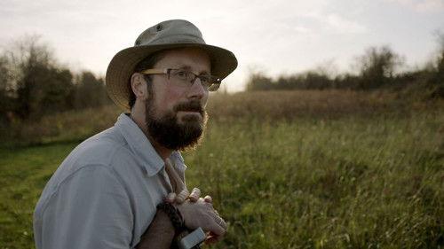 Backlight Season 17 Episode 13 - Episode 13