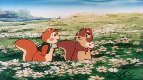 Bannertail: The Story of Gray Squirrel Season 1 Episode 26 - In a New Forest