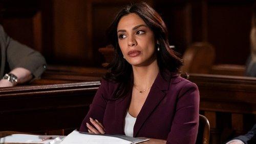 Law & Order Season 23 Episode 13 - In Harm's Way