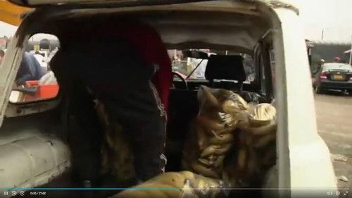 The Pure Creole Season 2 Episode 3 - El Renault 4