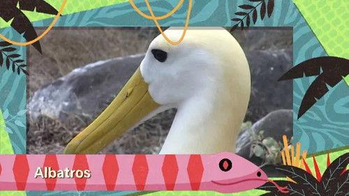 Kukurota Season 3 Episode 6 - Episode 6