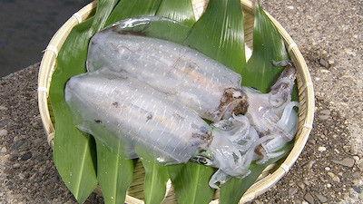 Background image for Aori-ika