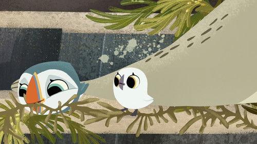 Background image for Silky's Slide