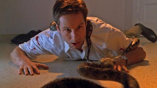 The X-Files Season 7 Episode 9 - Signs and Wonders
