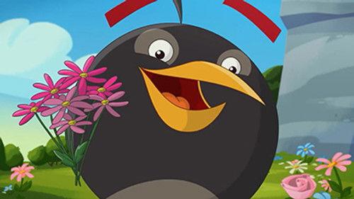 Angry Birds Toons Season 2 Episode 24 - Bombina