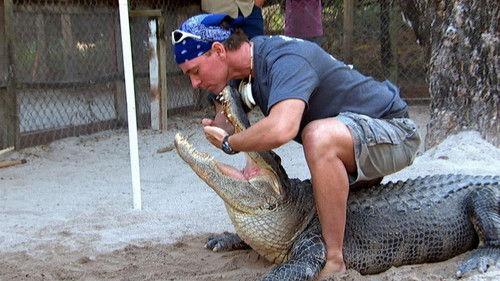 Modern Marvels Season 18 Episode 3 - Swamp Tech