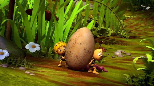 Maya the Bee Season 3 Episode 4 - Follow That Egg