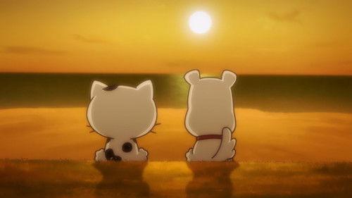 Uchitama?! Have You Seen My Tama? Season 1 Episode 6 - Going to the Beach