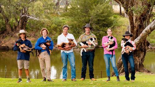 Muster Dogs Season 4 Episode 1 - Episode 1