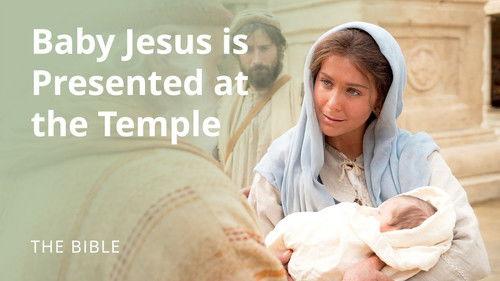 The Life of Jesus Christ Season 1 Episode 9 - Luke 2 | The Christ Child Is Presented at the Temple