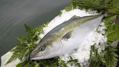 Background image for Hamachi